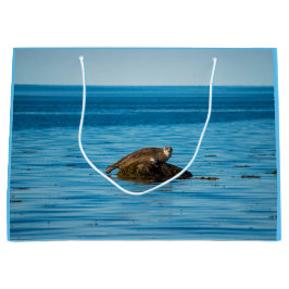 Atlantische havenzegel groot cadeauzakje