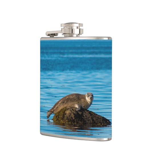 Atlantische havenzegel heupfles (Links)