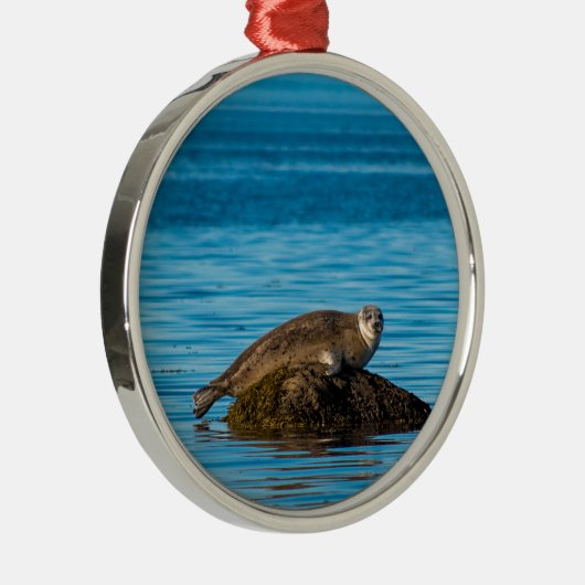 Atlantische havenzegel metalen ornament (Rechts)