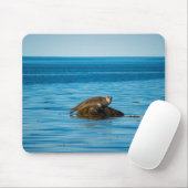 Atlantische havenzegel muismat (Met muis)