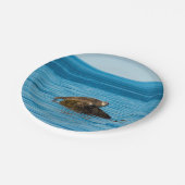 Atlantische havenzegel papieren bordje (Gekanteld)