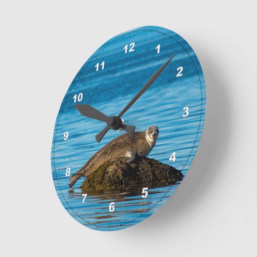 Atlantische havenzegel ronde klok (Hoek)