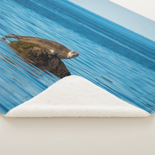 Atlantische havenzegel sherpa deken (3/4)