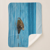 Atlantische havenzegel sherpa deken (Voorkant)