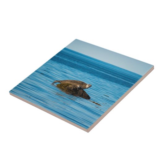 Atlantische havenzegel tegeltje (Zijkant)