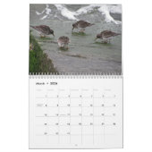 Atlantische hoornvogels kalender (Mar 2026)
