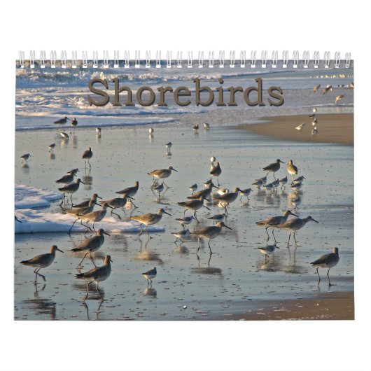 Atlantische hoornvogels kalender (Hoes)