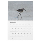 Atlantische hoornvogels kalender (Jan 2027)
