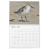 Atlantische hoornvogels kalender (Feb 2027)
