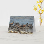 Atlantische kustvogels: Delaware Bay Kaart (Gele Bloem)