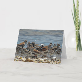 Atlantische kustvogels: Delaware Bay Kaart