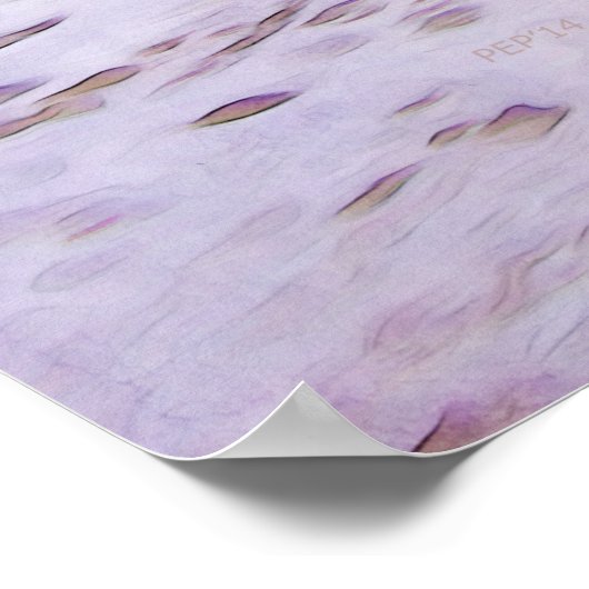 Atlantische Oceaan op het strand van Florida Poster (Hoek)