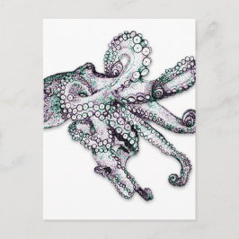 Atlantische octopus Briefkaart