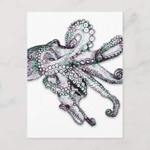 Atlantische octopus Briefkaart