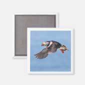 Atlantische Papegaaiduiker 2x2 magneet (Voorkant / Achterkant)