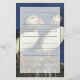 Atlantische papegaaiduiker briefpapier