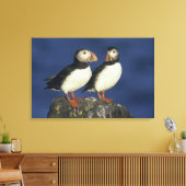 Atlantische papegaaiduiker canvas afdruk (Insitu (Woonkamer))