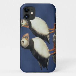 Atlantische papegaaiduiker iPhone 11 hoesje