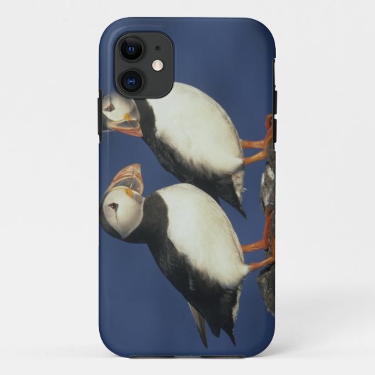 Atlantische papegaaiduiker Case-Mate iPhone case (Achterkant)