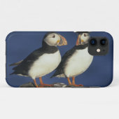 Atlantische papegaaiduiker Case-Mate iPhone case (Achterkant (horizontaal))
