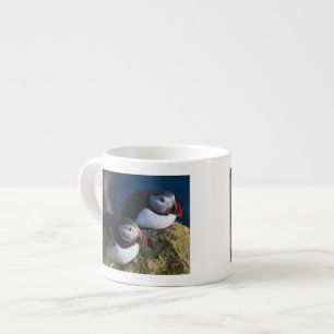 Atlantische papegaaiduiker espresso kop