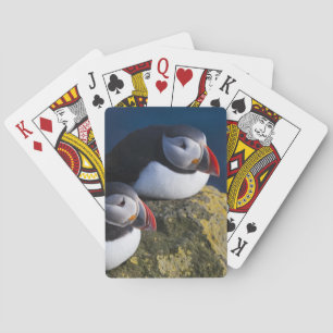 Atlantische Papegaaiduiker (Fratercula arctica) 7 Pokerkaarten
