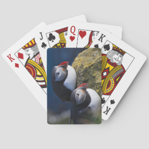Atlantische papegaaiduiker (Fratercula arctica) 7 Pokerkaarten