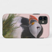 Atlantische papegaaiduiker (Fratercula arctica) Case-Mate iPhone Case (Achterkant (horizontaal))