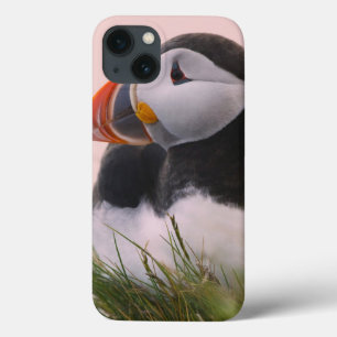 Atlantische papegaaiduiker (Fratercula arctica) Case-Mate iPhone Case