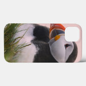 Atlantische papegaaiduiker (Fratercula arctica) Case-Mate iPhone Case (Achterkant (horizontaal))