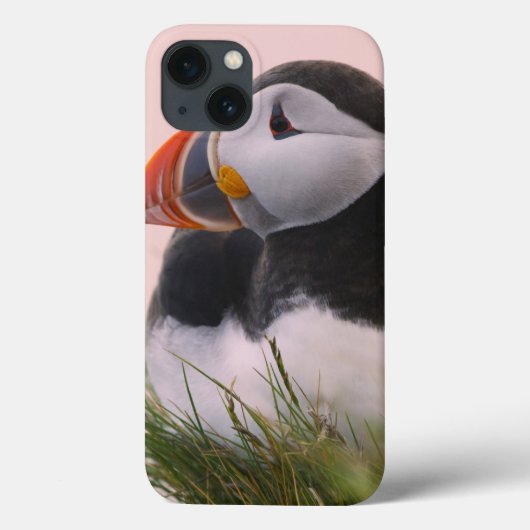 Atlantische papegaaiduiker (Fratercula arctica) Case-Mate iPhone Case (Achterkant)