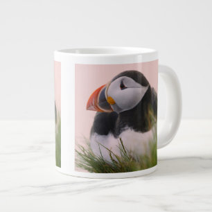 Atlantische Papegaaiduiker (Fratercula arctica) Grote Koffiekop