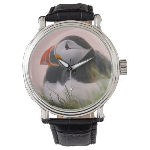 Atlantische papegaaiduiker (Fratercula arctica) Horloge