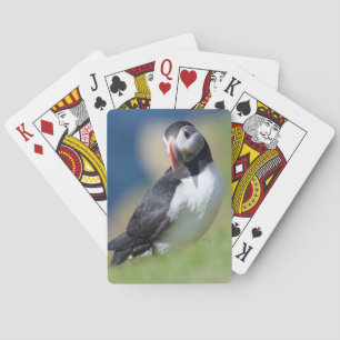 Atlantische Papegaaiduiker (Fratercula Arctica) Op Pokerkaarten