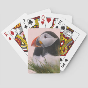 Atlantische papegaaiduiker (Fratercula arctica) Pokerkaarten