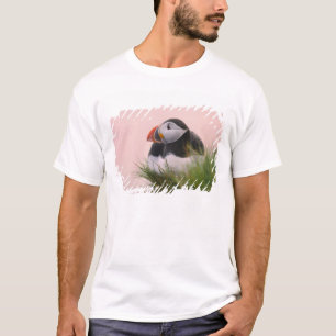 Atlantische papegaaiduiker (Fratercula arctica) T-shirt