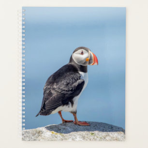 Atlantische papegaaiduiker in Maine 2024 Planner