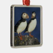 Atlantische papegaaiduiker metalen ornament (Rechts)