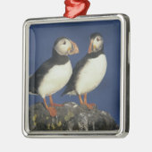 Atlantische papegaaiduiker metalen ornament (Links)