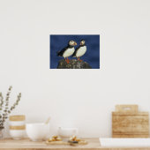Atlantische papegaaiduiker poster (Keuken)