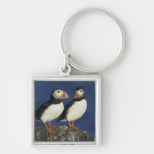 Atlantische papegaaiduiker sleutelhanger (Voorkant)