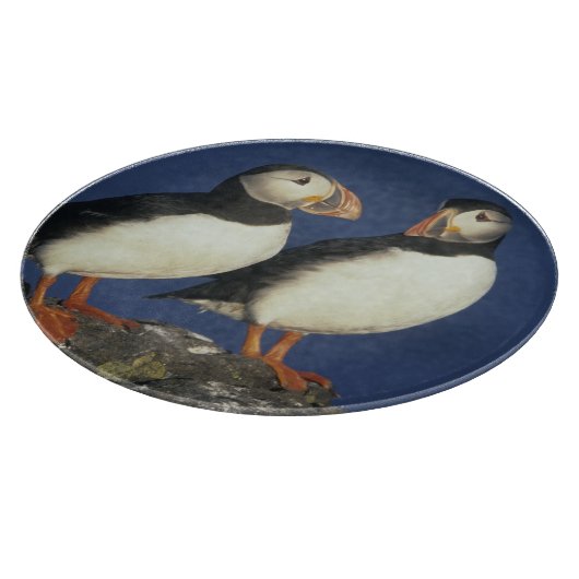 Atlantische papegaaiduiker snijplank (Hoek)