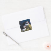 Atlantische papegaaiduiker vierkante sticker (Envelop)