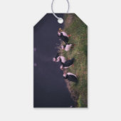 Atlantische Papegaaiduikers Cadeaulabel (Voorkant)