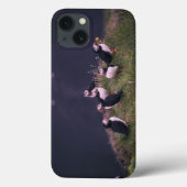 Atlantische papegaaiduikers Case-Mate iPhone case (Achterkant)