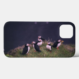 Atlantische papegaaiduikers Case-Mate iPhone case