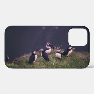 Atlantische papegaaiduikers Case-Mate iPhone case