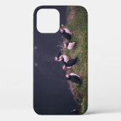 Atlantische papegaaiduikers Case-Mate iPhone case (Achterkant)