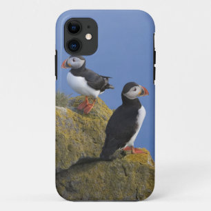 Atlantische papegaaiduikers (Fratercula arctica) o Case-Mate iPhone Case