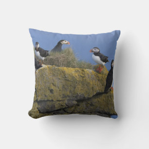 Atlantische papegaaiduikers (Fratercula arctica) o Kussen
